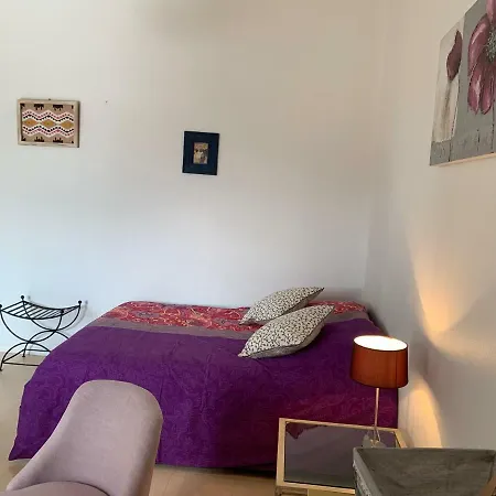 Coeur Historique Albigeois Apartment *